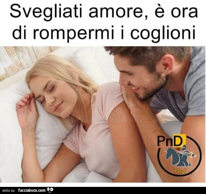Svegliati amore è ora di rompermi i coglioni
