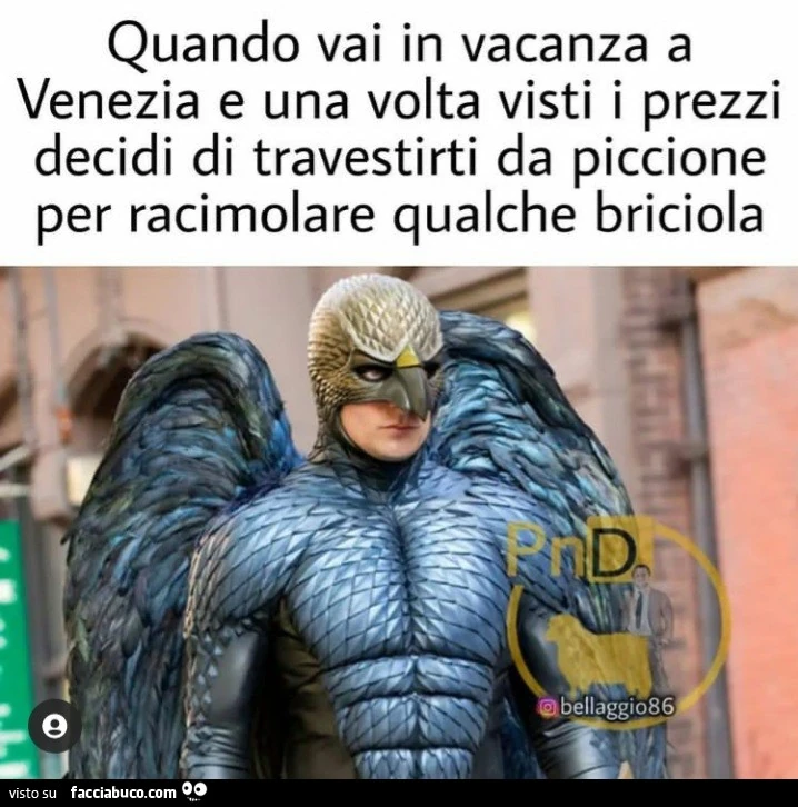 Quondo vai in vacanza a Venezia e una volta visti i prezzi decidi di travestirti da piccione per racimolare qualche briciola