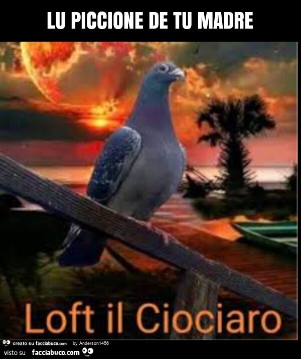 Lu piccione de tu madre