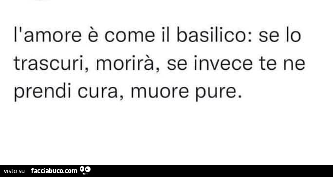 L'amore è come il basilico: se lo trascuri, morirà, se invece te ne prendi cura, muore pure