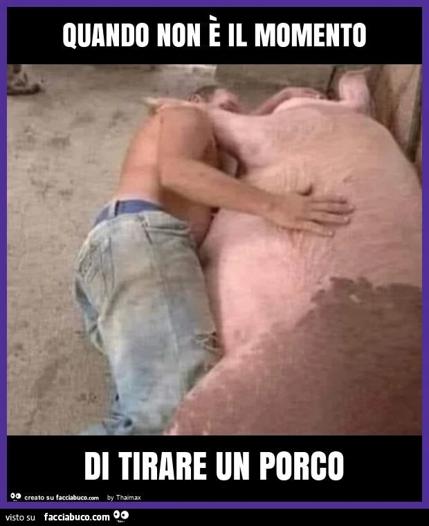 Bestemmioni 5haimax Facciabuco Quando non è il momento di tirare un porco