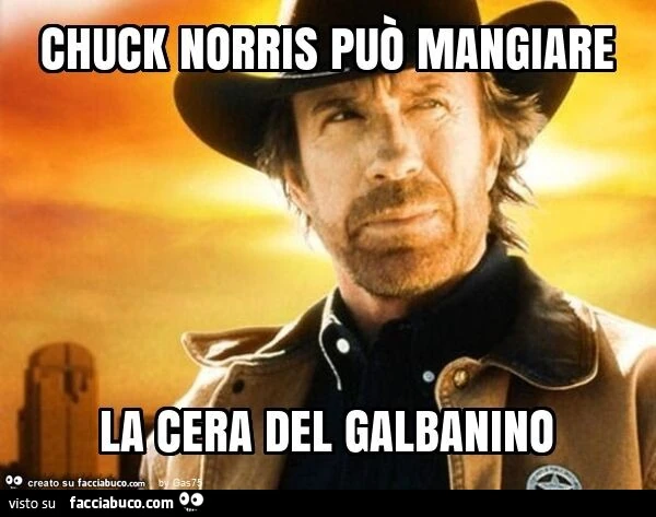 Chuck norris può mangiare la cera del galbanino