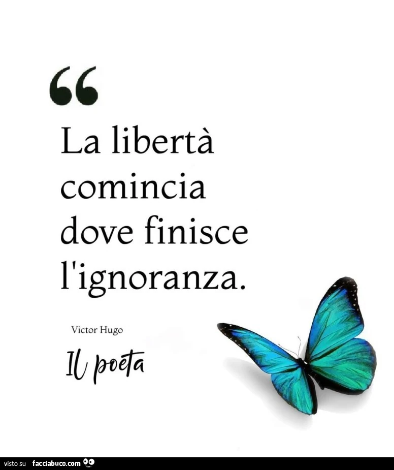 La libertà comincia dove finisce l'ignoranza. Victor Hugo