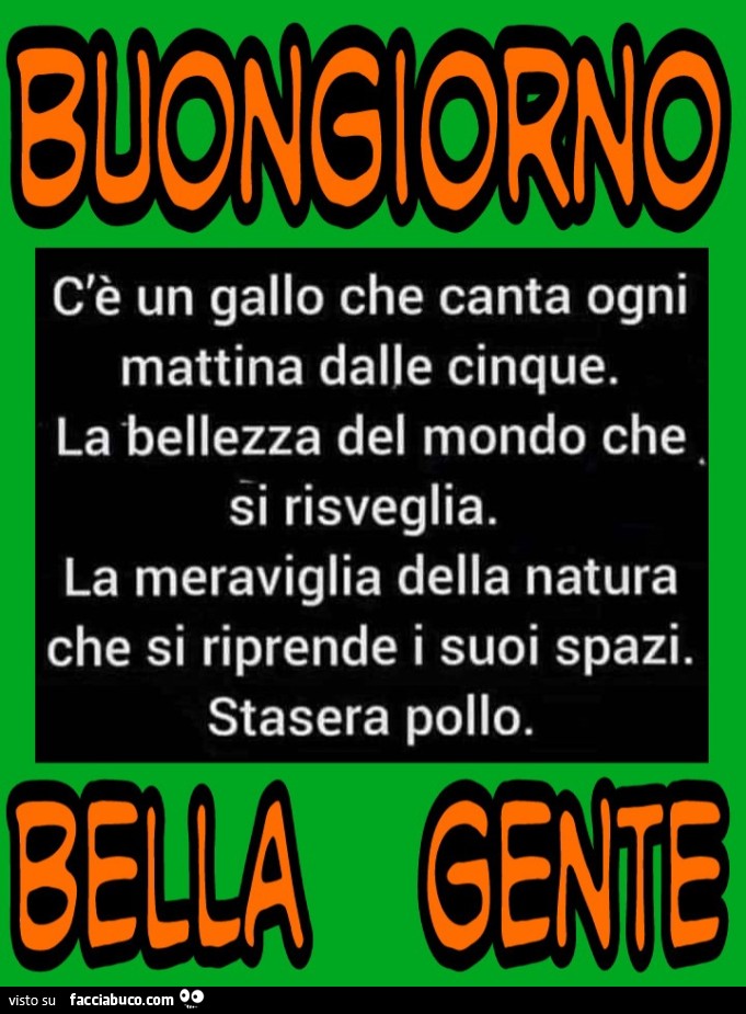 C'è un gallo che canta ogni mattina dalle cinque