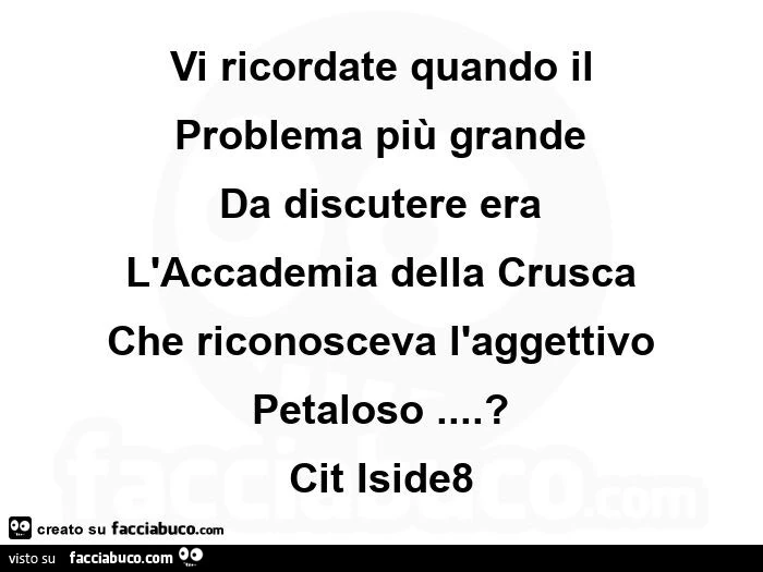 Vi ricordate quando il  problema più grande da discutere era l'accademia della crusca che riconosceva l'aggettivo petaloso? Cit iside8