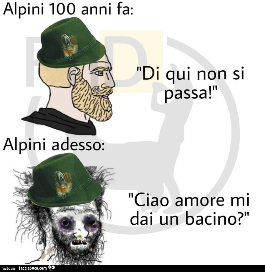 Alpini 100 anni fa: di qui non si passa. alpini adesso: ciao amore mi dai un bacino?