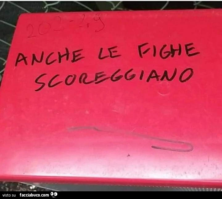 Anche le fighe scoreggiano