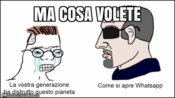 Ma cosa volete