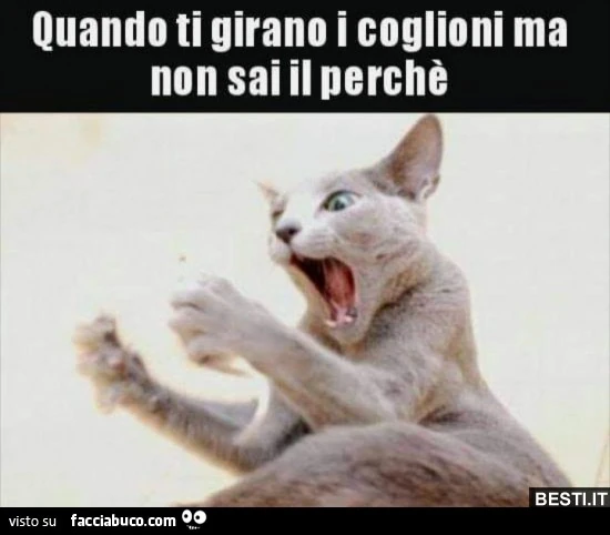Quando ti girano i coglioni ma non sai il perché