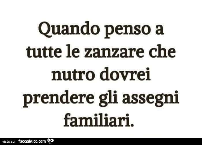 Quando penso a tutte le zanzare che nutro dovrei prendere gli assegni familiari. Facciabuco. Com
