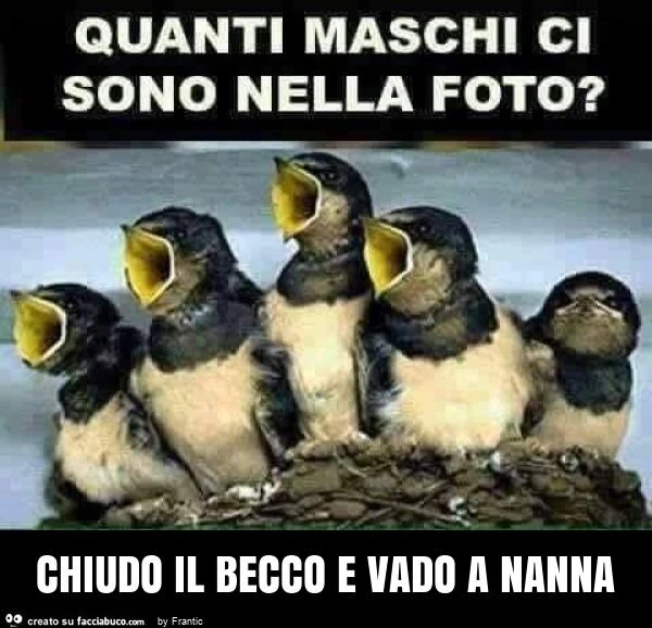 Chiudo il becco e vado a nanna
