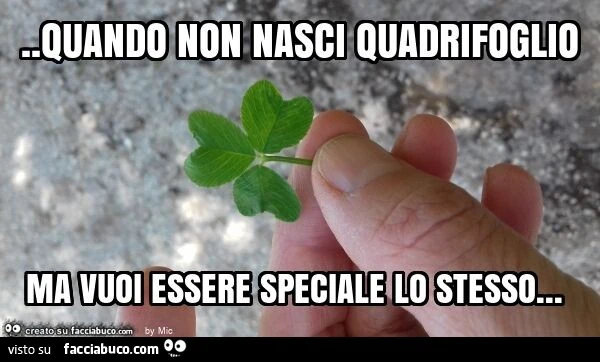 Quando non nasci quadrifoglio ma vuoi essere speciale lo stesso