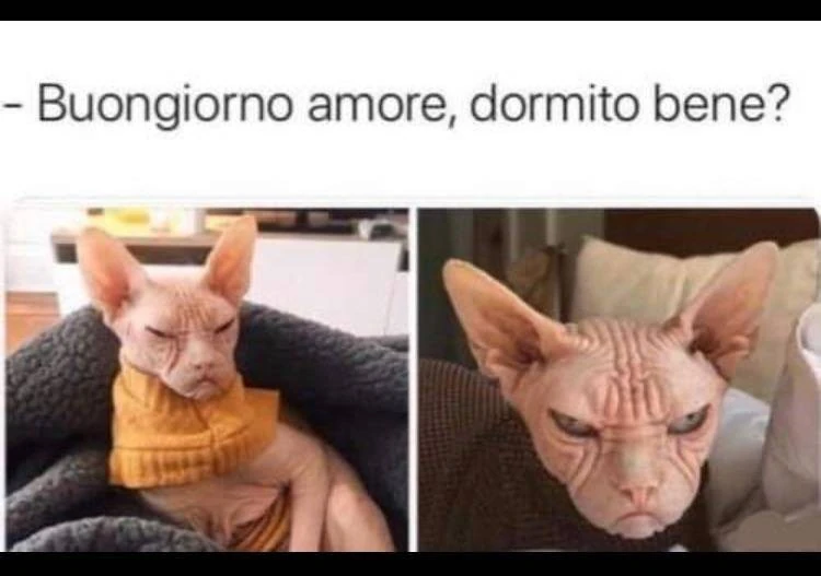 Buon umore il mattino