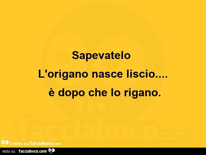 Sapevatelo l'origano nasce liscio… è dopo che lo rigano - Facciabuco.com