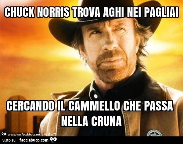 Chuck norris trova aghi nei pagliai cercando il cammello che passa nella cruna