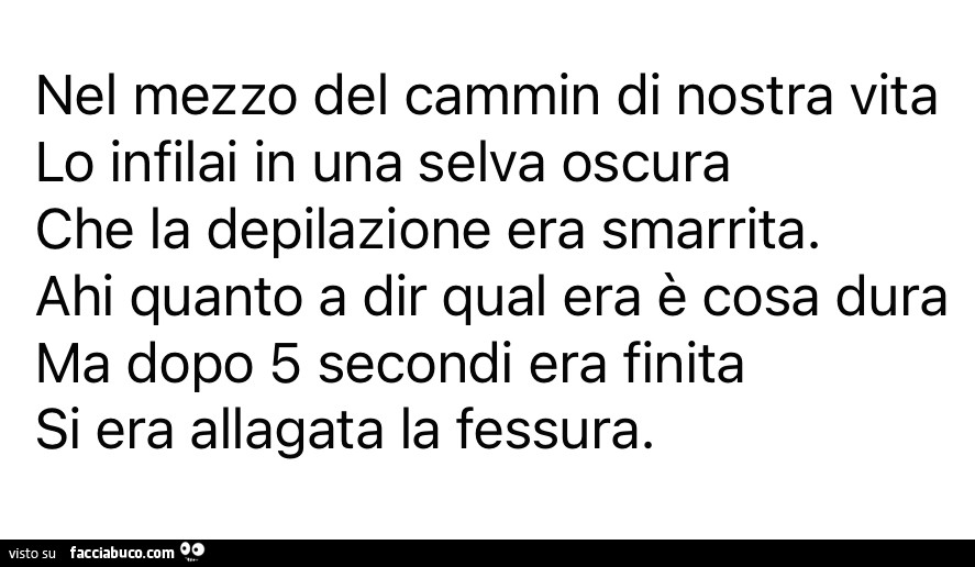 Nel mezzo del cammin di nostra vita lo infilai in una selva oscura che