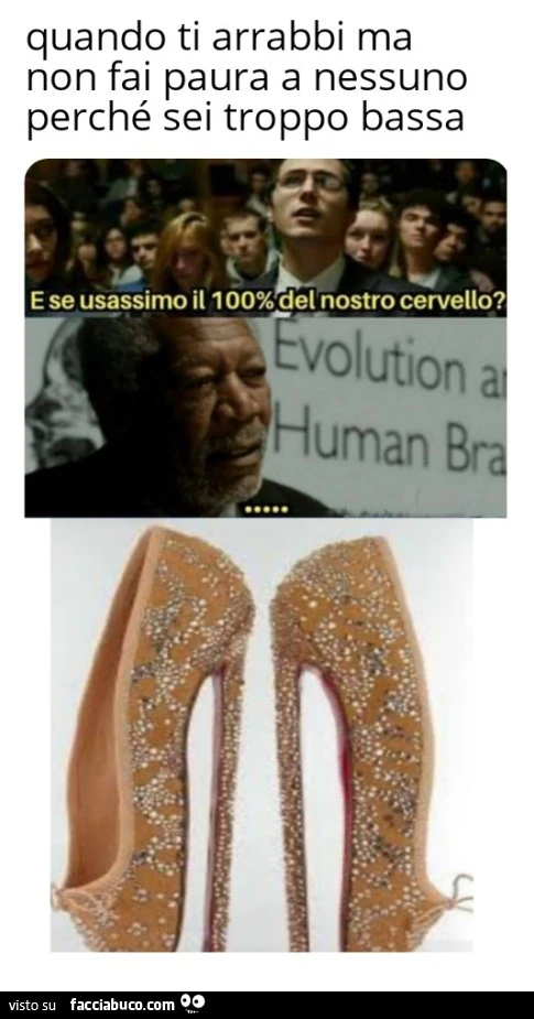 Vaccata