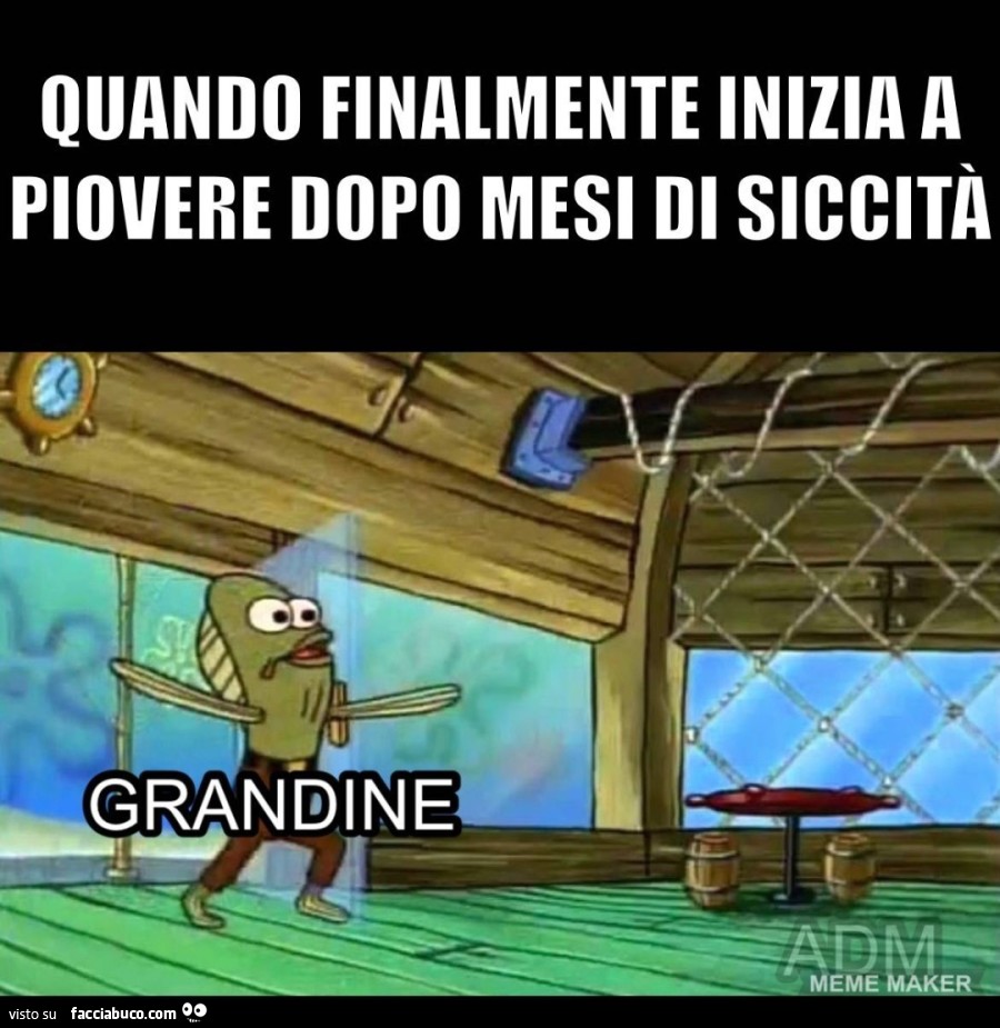 Buongiorno popolo accaldato?????… vaccata pubblicata da Giampieretto84 -  Facciabuco.com