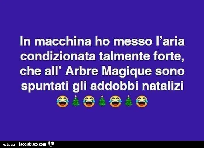In macchina ho messo l'aria condizionata talmente forte, che all'arbre magique sono spuntati gli addobbi natalizi