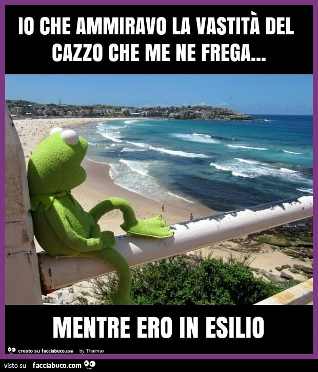 Io che ammiravo la vastità del cazzo che me ne frega… mentre ero in esilio thaimax Facciabuco