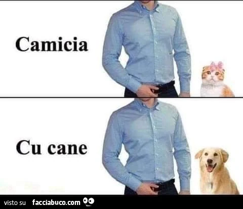 Camicia cu cane