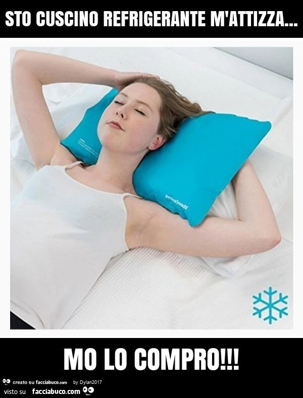 Sto cuscino refrigerante m'attizza&hellip; mo lo compro