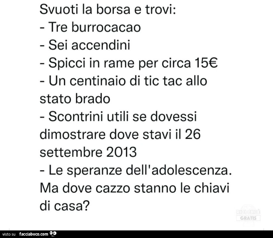 Svuoti la borsa e trovi: tre burrocacao sei accendini spicci in rame per circa 15€ un centinaio di tic tac allo stato brado scontrini utili se dovessi dimostrare dove stavi il 26 settembre 2013 le speranze dell'adolescenza. Ma dove cazzo stanno le ch
