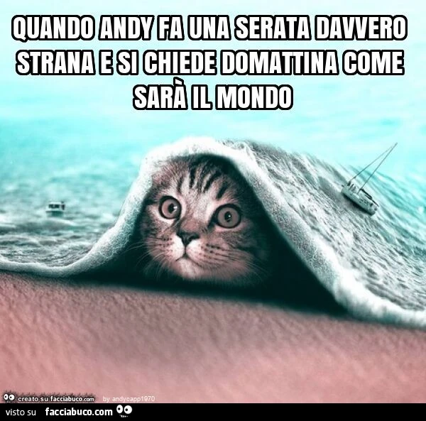 Quando andy fa una serata davvero strana e si chiede domattina come sarà il mondo