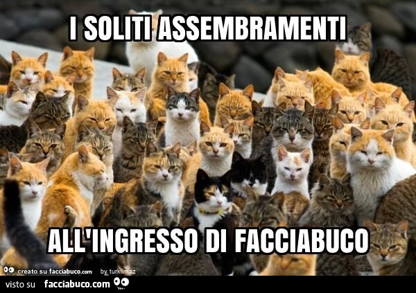 I soliti assembramenti all'ingresso di facciabuco