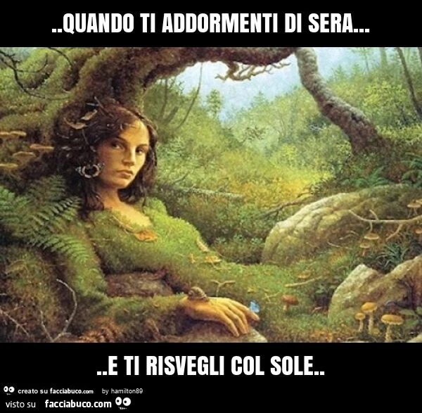 Quando ti addormenti di sera&hellip; e ti risvegli col sole