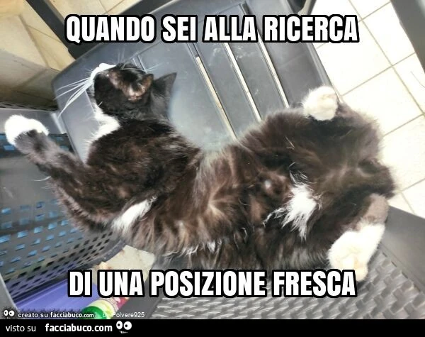 Quando sei alla ricerca di una posizione fresca