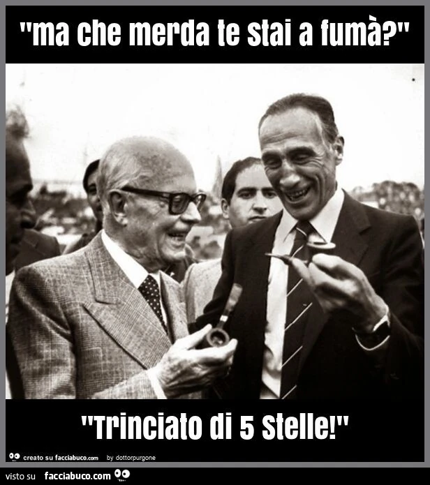 "ma che merda te stai a fumร ? " "Trinciato di 5 stelle! "