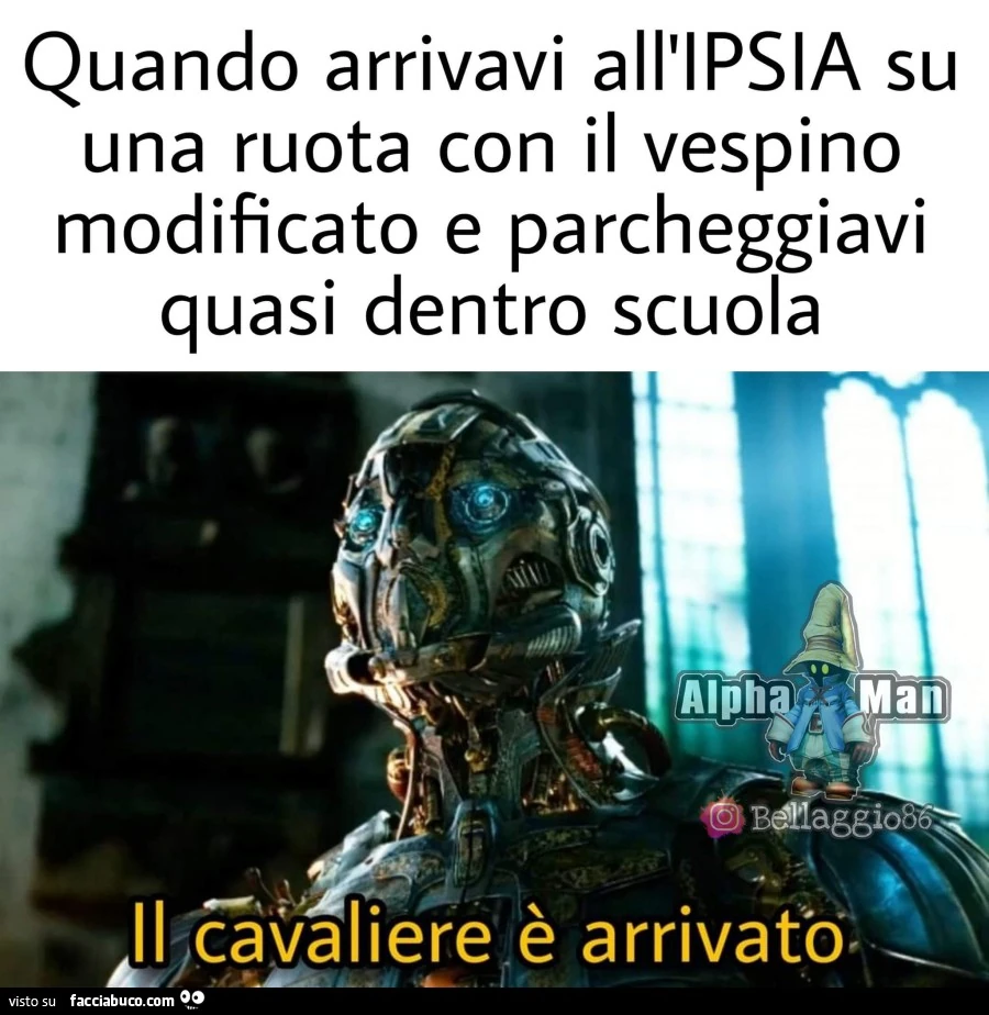 Vaccata