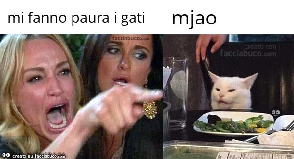 Mi fanno paura i gati. Mjao