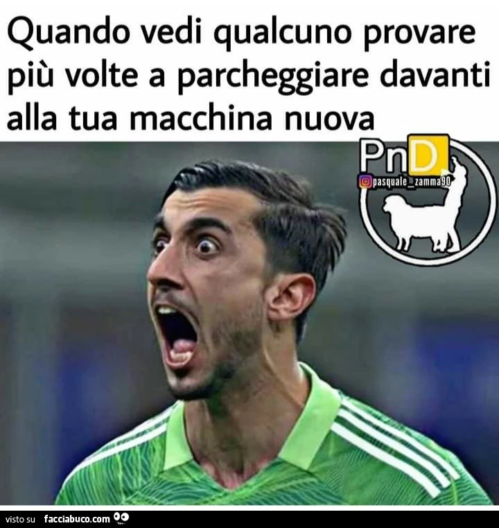 Quando vedi qualcuno provare più volte a parcheggiare