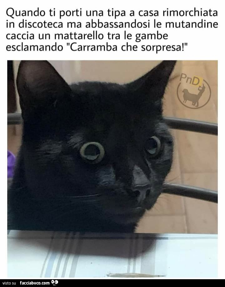 Quando ti porti una tipa a casa rimorchiato in discoteca