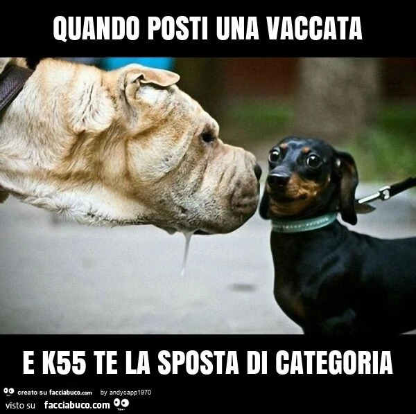Quando posti una vaccata e k55 te la sposta di categoria