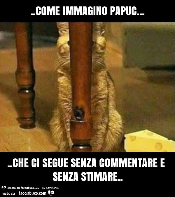 Come immagino papuc&hellip; che ci segue senza commentare e senza stimare