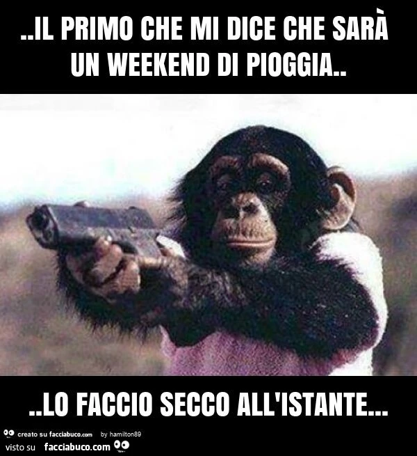 Il primo che mi dice che sarร un weekend di pioggia… lo faccio secco all'istante