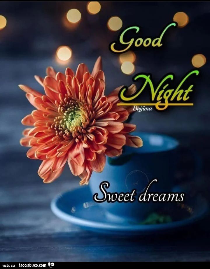 Good Night sweet dreams