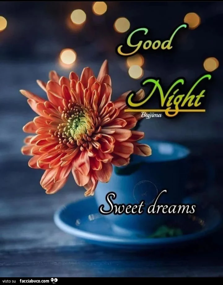 Good Night sweet dreams