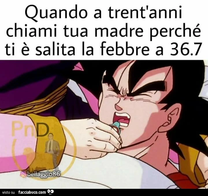 Quando a trent'anni chiami tua madre perché ti è salita