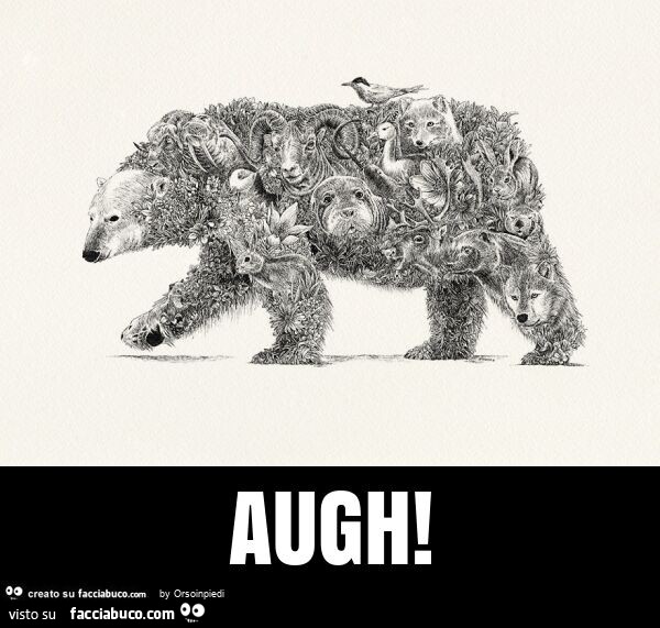 Augh