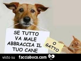 Bestiacce