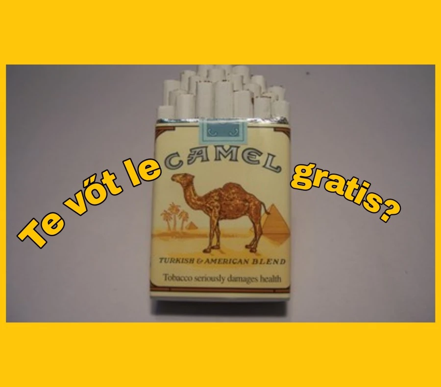 Camel