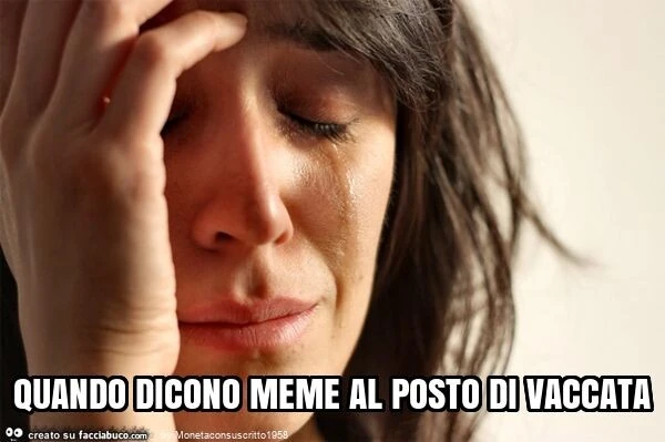 Quando dicono meme al posto di vaccata