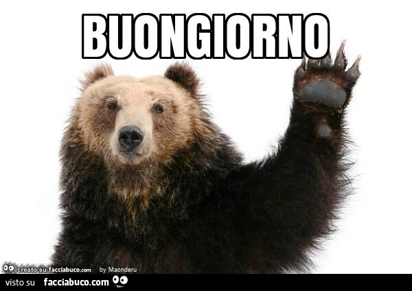 Buongiorno