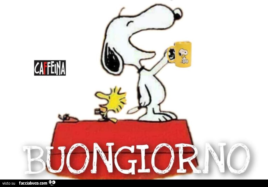 Snoopy Buongiorno