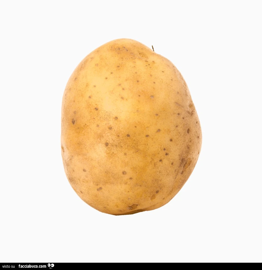 Patata