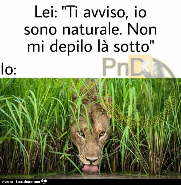 Lei ti avviso io sono naturale non mi depilo